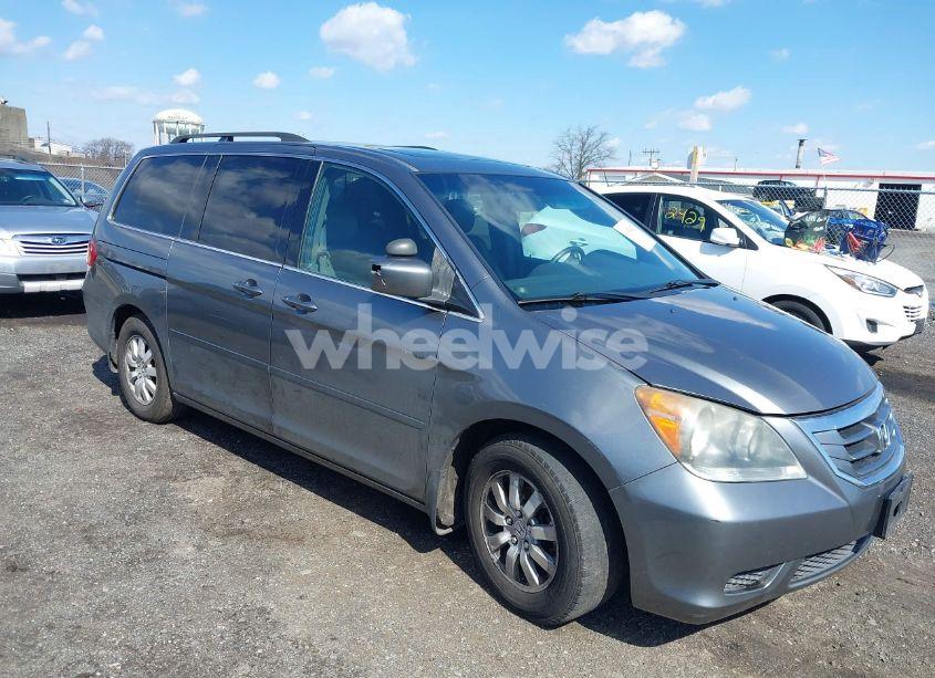 Photo 6 of 2009 Honda Odyssey EX-L (VIN 5FNRL38729B020539)