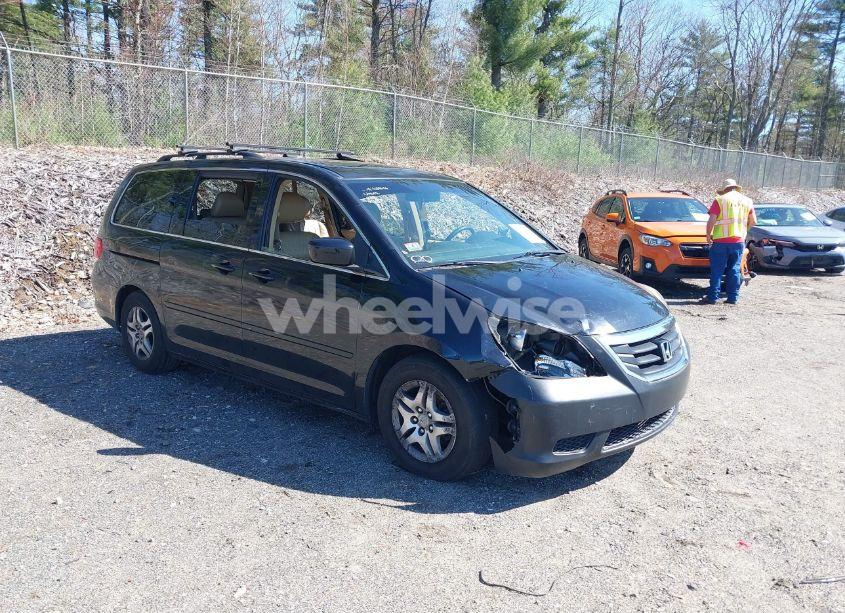 2009 Honda Odyssey EX-L (VIN 5FNRL38729B035476) main photo