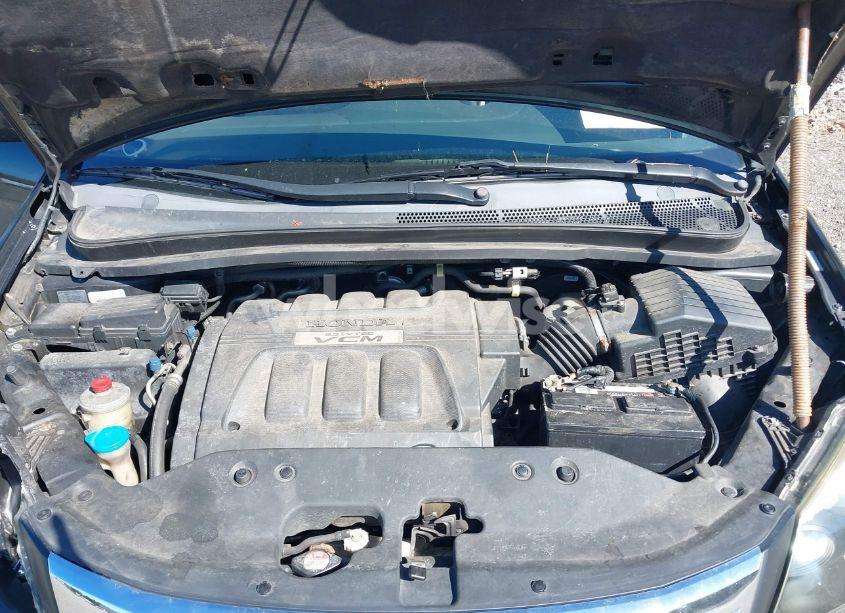 Photo 10 of 2009 Honda Odyssey EX-L (VIN 5FNRL38729B035476)