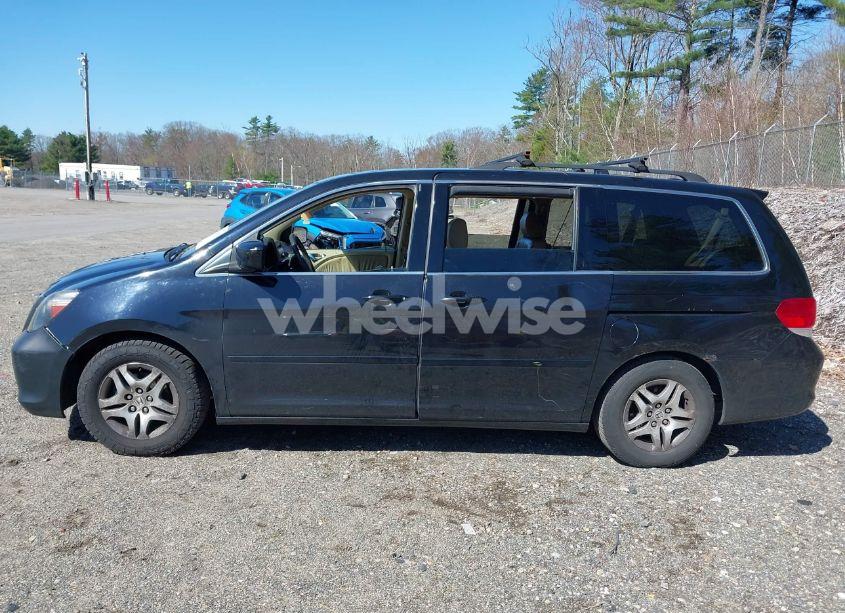Photo 14 of 2009 Honda Odyssey EX-L (VIN 5FNRL38729B035476)