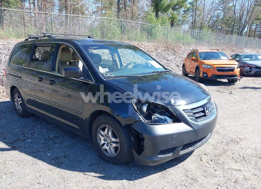 Photo 6 of 2009 Honda Odyssey EX-L (VIN 5FNRL38729B035476)
