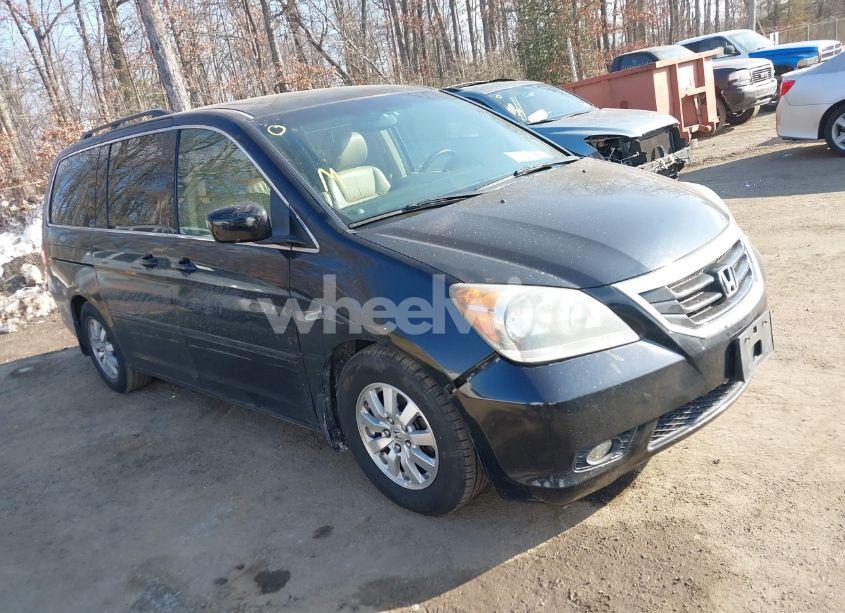 2009 Honda Odyssey EX-L (VIN 5FNRL38729B041231) main photo