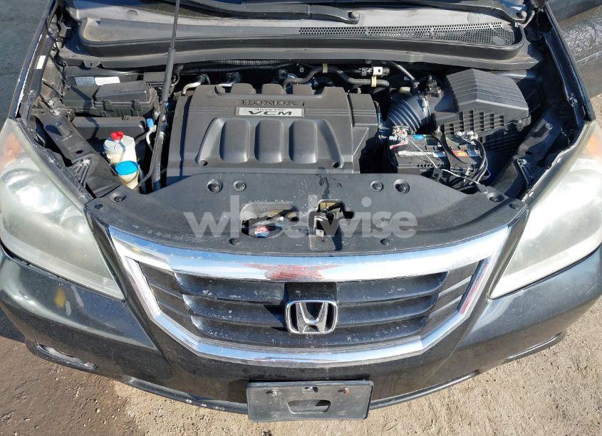 Photo 10 of 2009 Honda Odyssey EX-L (VIN 5FNRL38729B041231)