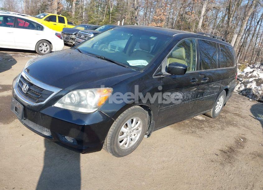 Photo 2 of 2009 Honda Odyssey EX-L (VIN 5FNRL38729B041231)