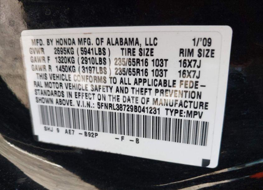 Photo 9 of 2009 Honda Odyssey EX-L (VIN 5FNRL38729B041231)