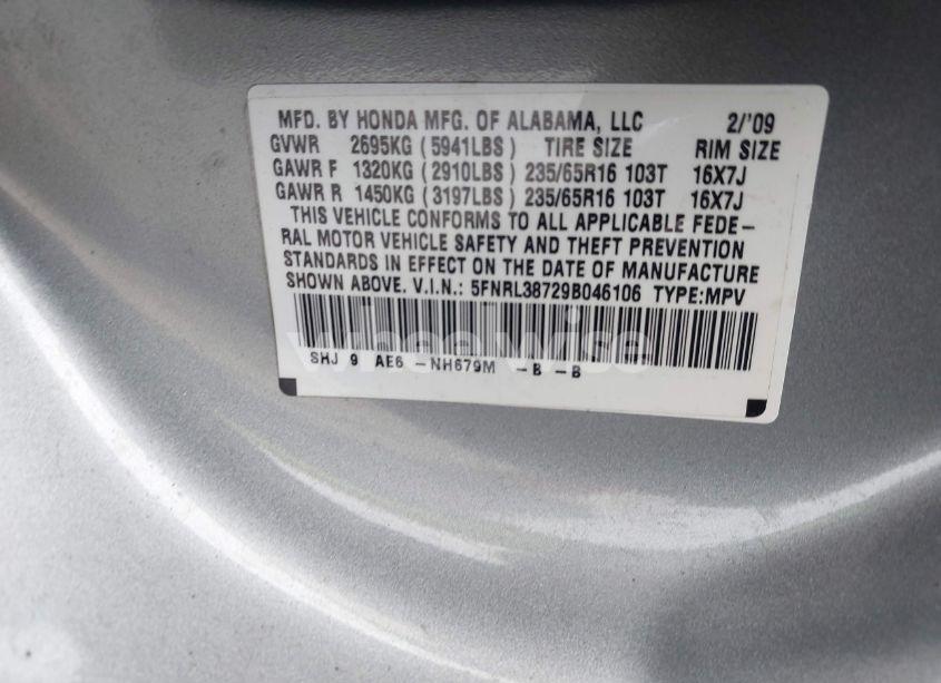 Photo 9 of 2009 Honda Odyssey EX-L (VIN 5FNRL38729B046106)