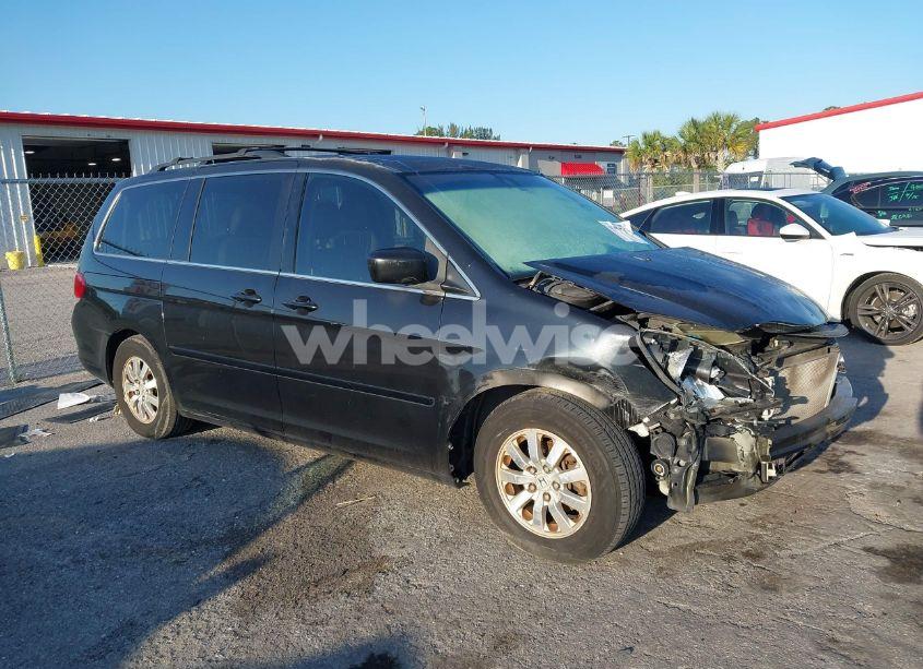 2009 Honda Odyssey EX-L (VIN 5FNRL38729B053007) main photo
