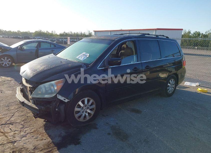 Photo 2 of 2009 Honda Odyssey EX-L (VIN 5FNRL38729B053007)