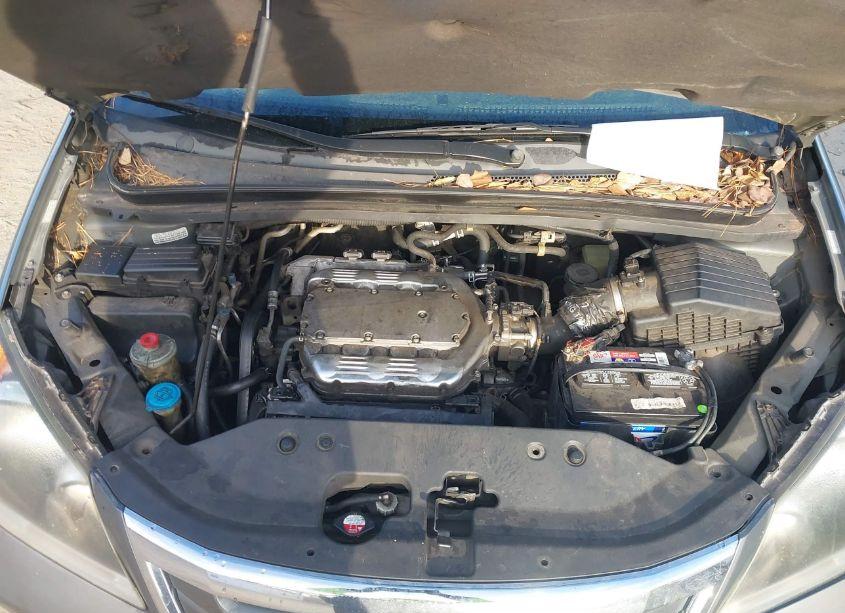 Photo 10 of 2009 Honda Odyssey EX-L (VIN 5FNRL38729B413327)