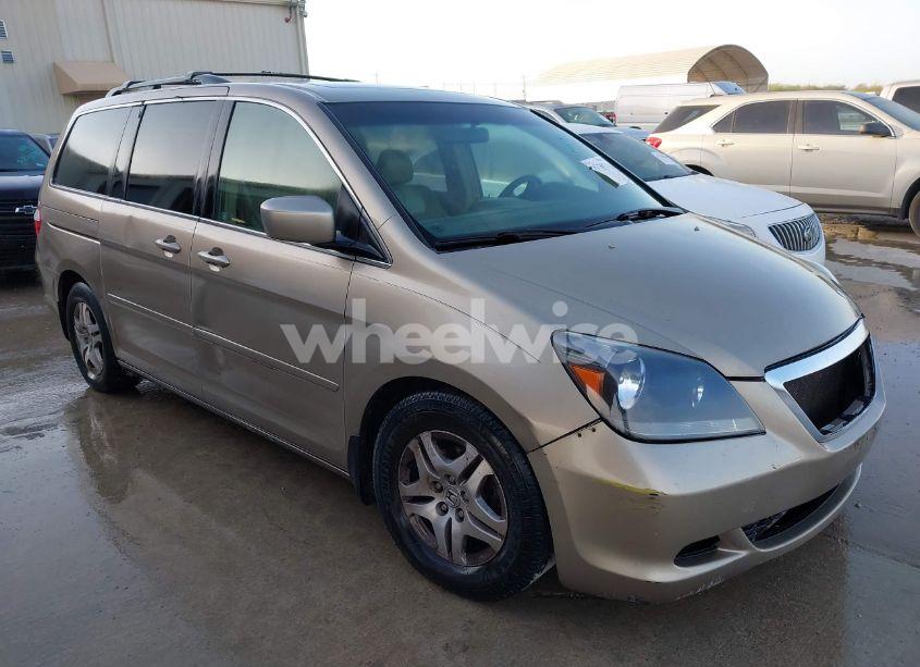 2005 Honda Odyssey EX-L (VIN 5FNRL38735B015831) main photo