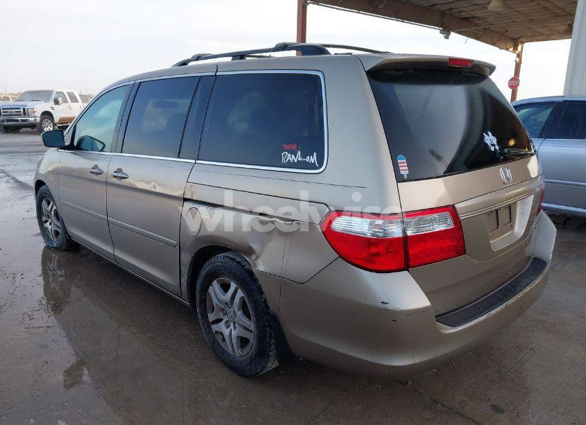 Photo 3 of 2005 Honda Odyssey EX-L (VIN 5FNRL38735B015831)