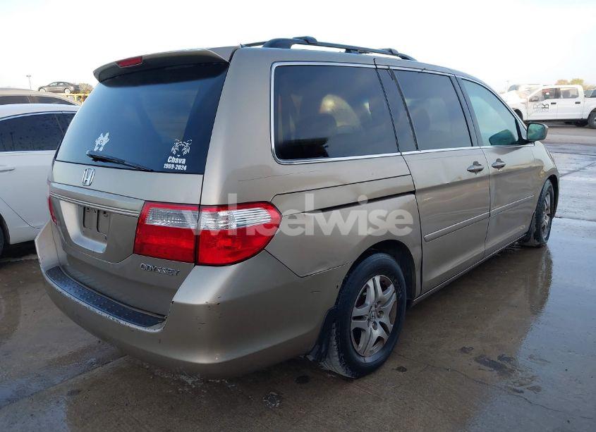 Photo 4 of 2005 Honda Odyssey EX-L (VIN 5FNRL38735B015831)
