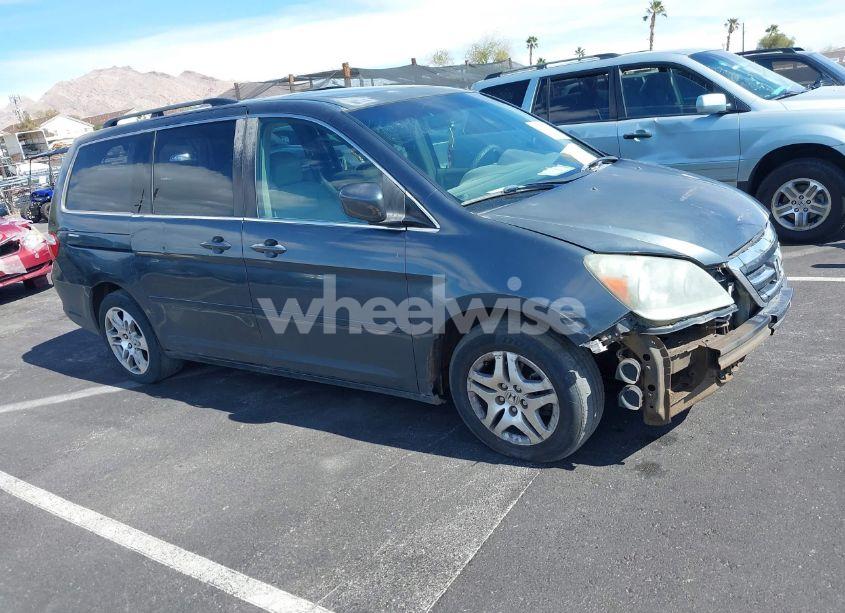 2005 Honda Odyssey EX-L (VIN 5FNRL38735B057514) main photo