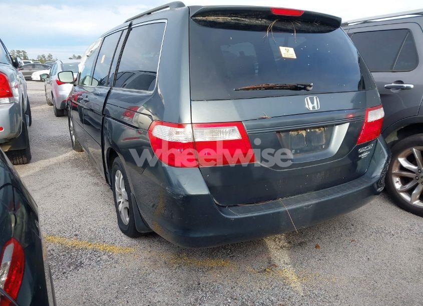 Photo 3 of 2005 Honda Odyssey EX-L (VIN 5FNRL38735B075124)