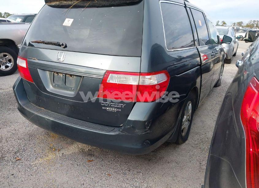 Photo 4 of 2005 Honda Odyssey EX-L (VIN 5FNRL38735B075124)