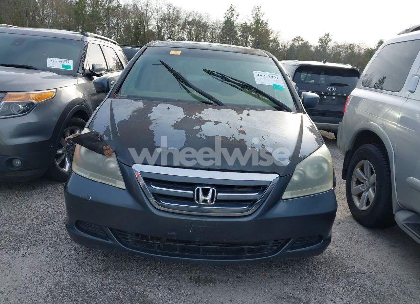 Photo 6 of 2005 Honda Odyssey EX-L (VIN 5FNRL38735B075124)