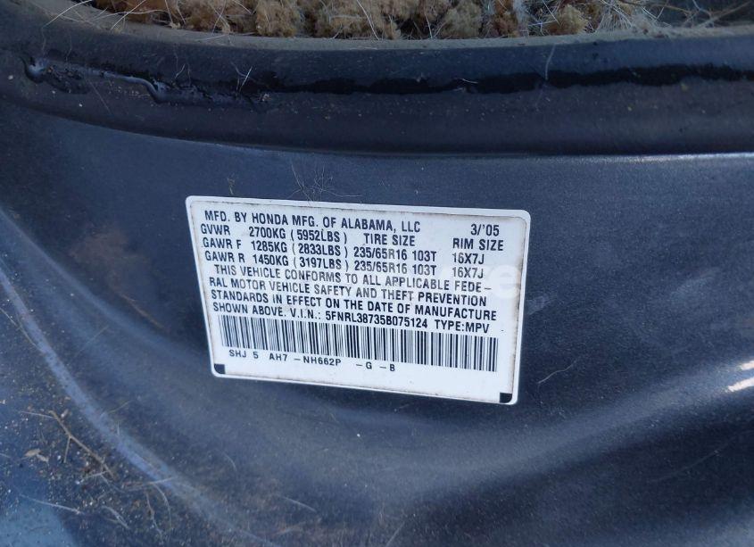 Photo 9 of 2005 Honda Odyssey EX-L (VIN 5FNRL38735B075124)