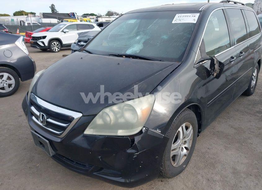 Photo 12 of 2005 Honda Odyssey EX-L (VIN 5FNRL38735B085233)