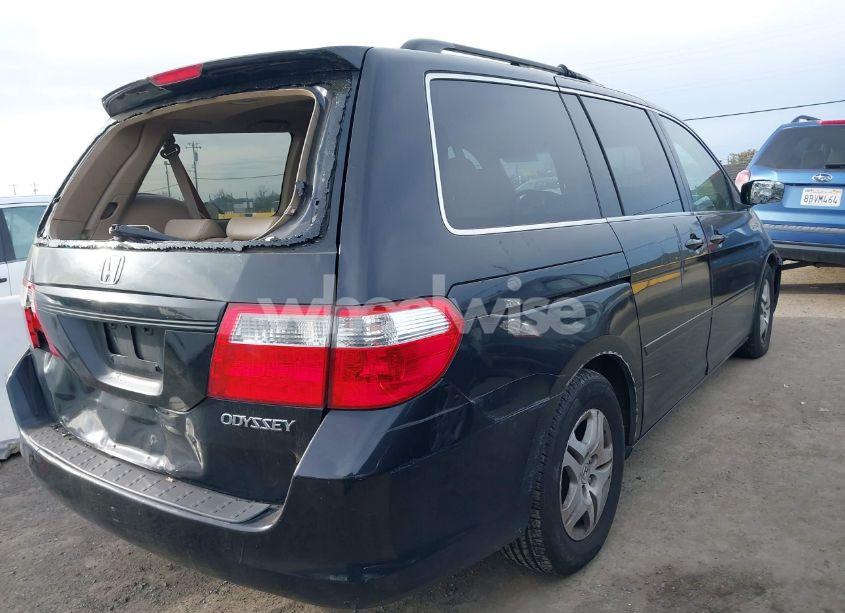 Photo 4 of 2005 Honda Odyssey EX-L (VIN 5FNRL38735B085233)