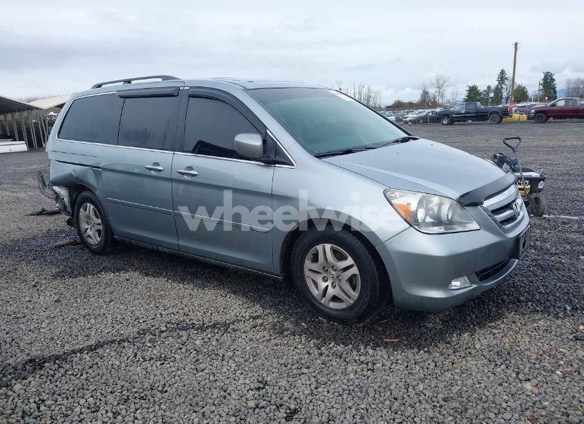 2005 Honda Odyssey EX-L (VIN 5FNRL38735B103357) main photo