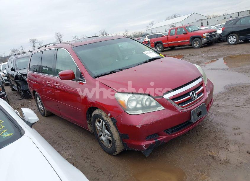 2005 Honda Odyssey EX-L (VIN 5FNRL38735B106839) main photo