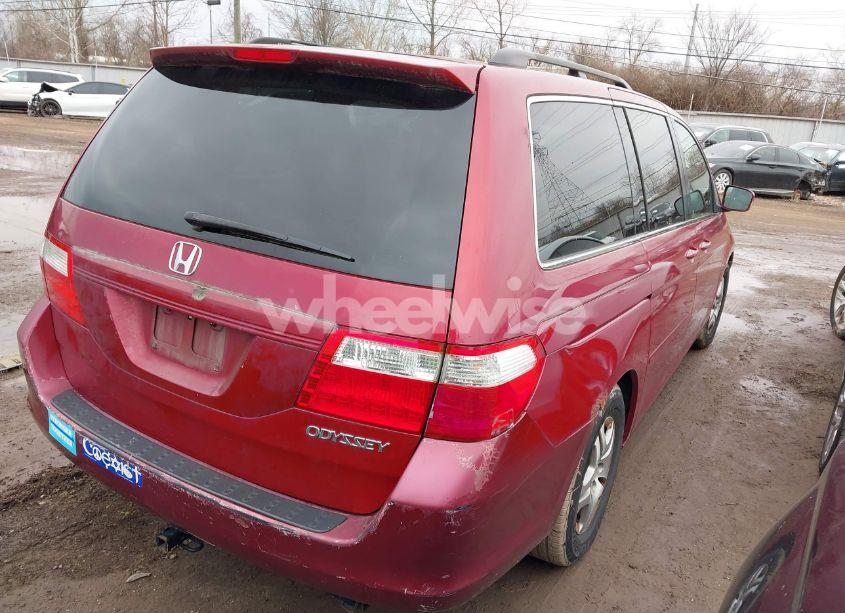 Photo 4 of 2005 Honda Odyssey EX-L (VIN 5FNRL38735B106839)