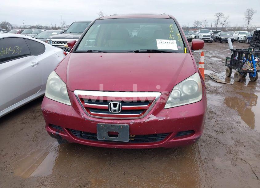 Photo 6 of 2005 Honda Odyssey EX-L (VIN 5FNRL38735B106839)