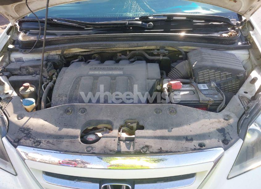 Photo 10 of 2005 Honda Odyssey EX-L (VIN 5FNRL38735B112155)