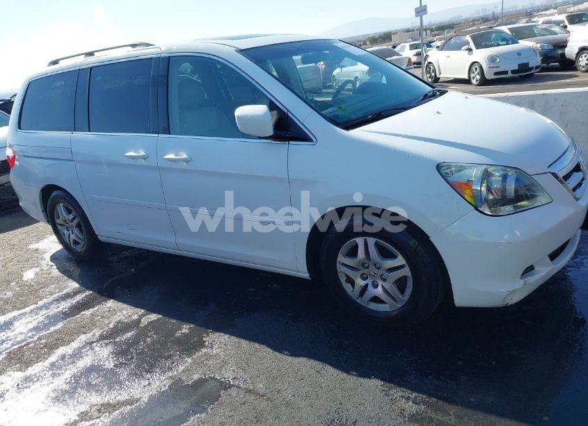 Photo 14 of 2005 Honda Odyssey EX-L (VIN 5FNRL38735B112155)