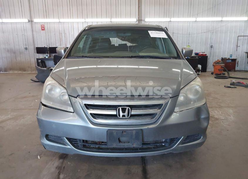 Photo 12 of 2006 Honda Odyssey EX-L (VIN 5FNRL38736B025051)