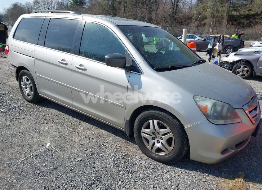 2006 Honda Odyssey EX-L (VIN 5FNRL38736B031965) main photo