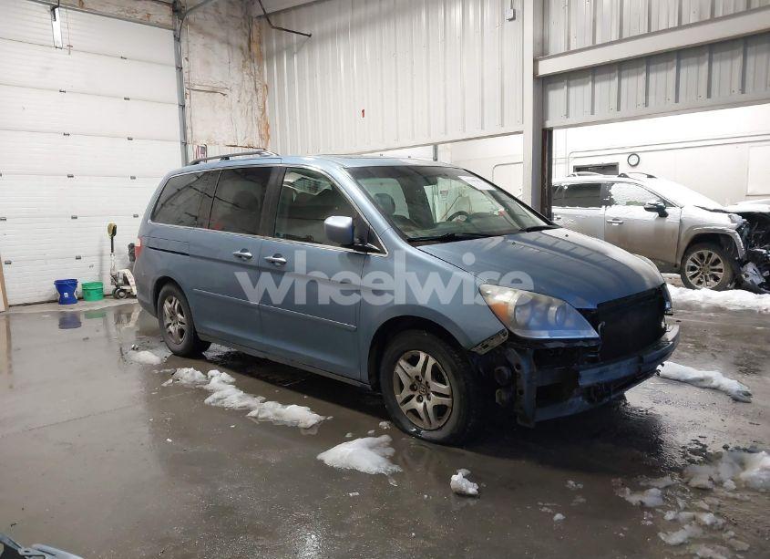 2006 Honda Odyssey EX-L (VIN 5FNRL38736B061208) main photo