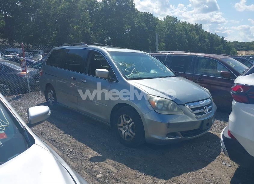 2006 Honda Odyssey EX-L (VIN 5FNRL38736B068529) main photo