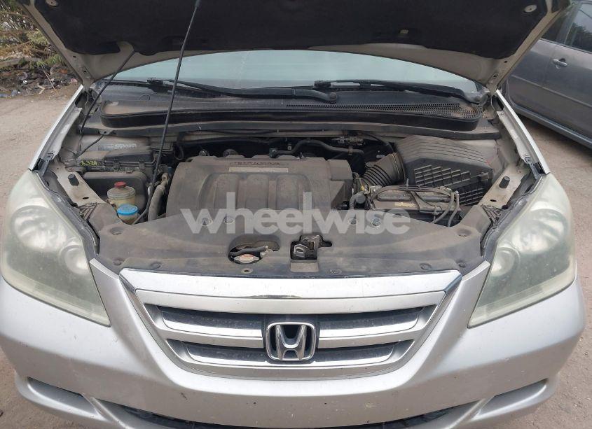 Photo 10 of 2006 Honda Odyssey EX-L (VIN 5FNRL38736B413817)