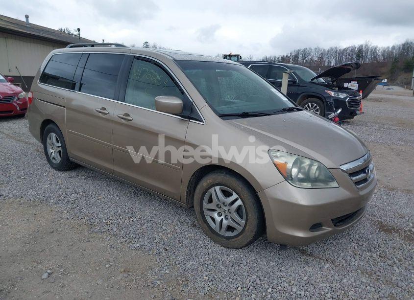 2006 Honda Odyssey EX-L (VIN 5FNRL38736B416474) main photo