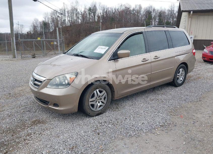 Photo 2 of 2006 Honda Odyssey EX-L (VIN 5FNRL38736B416474)