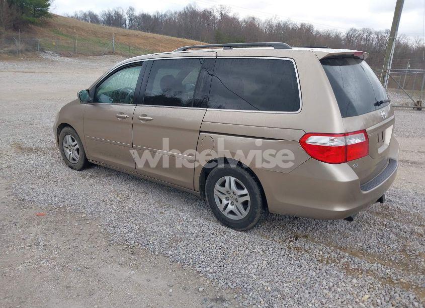 Photo 3 of 2006 Honda Odyssey EX-L (VIN 5FNRL38736B416474)