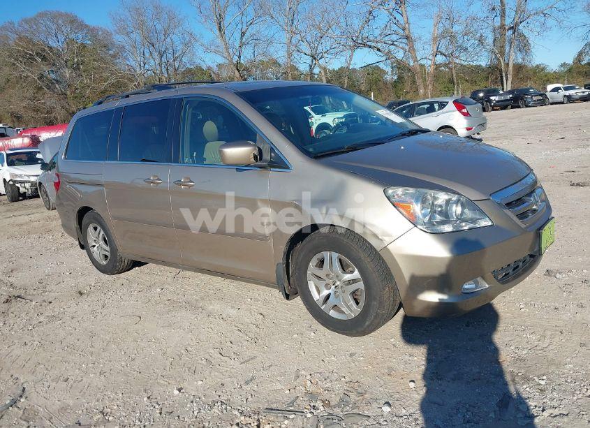2006 Honda Odyssey EX-L (VIN 5FNRL38736B436613) main photo