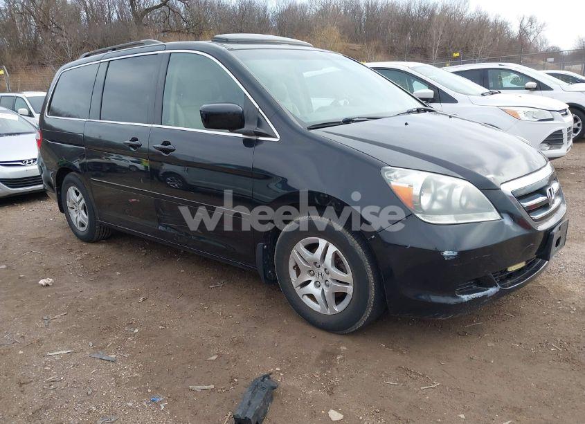 2007 Honda Odyssey EX-L (VIN 5FNRL38737B050887) main photo