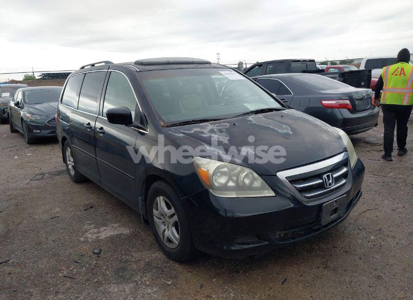 2007 Honda Odyssey EX-L (VIN 5FNRL38737B068886) main photo