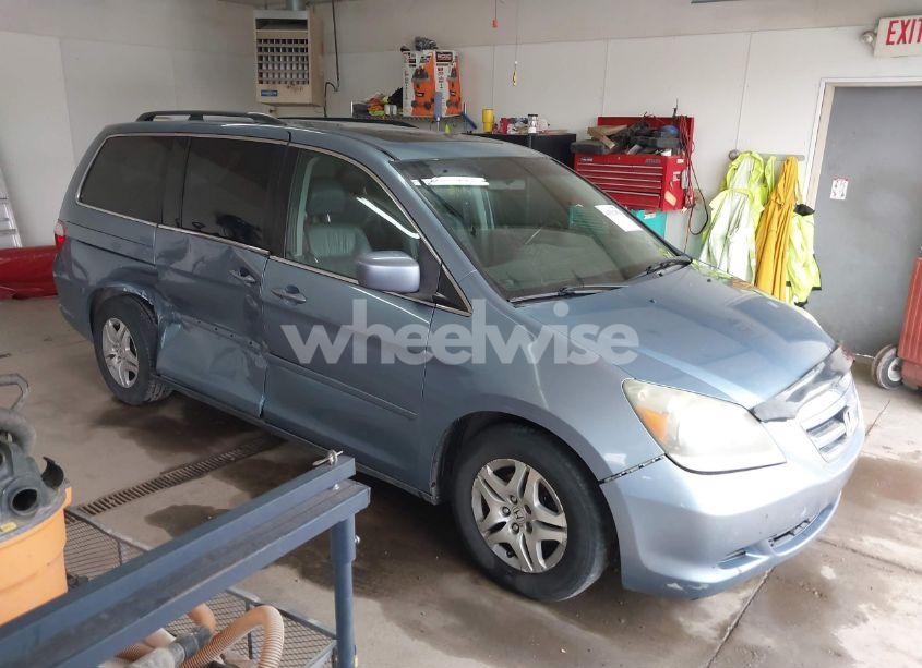 2007 Honda Odyssey EX-L (VIN 5FNRL38737B079533) main photo