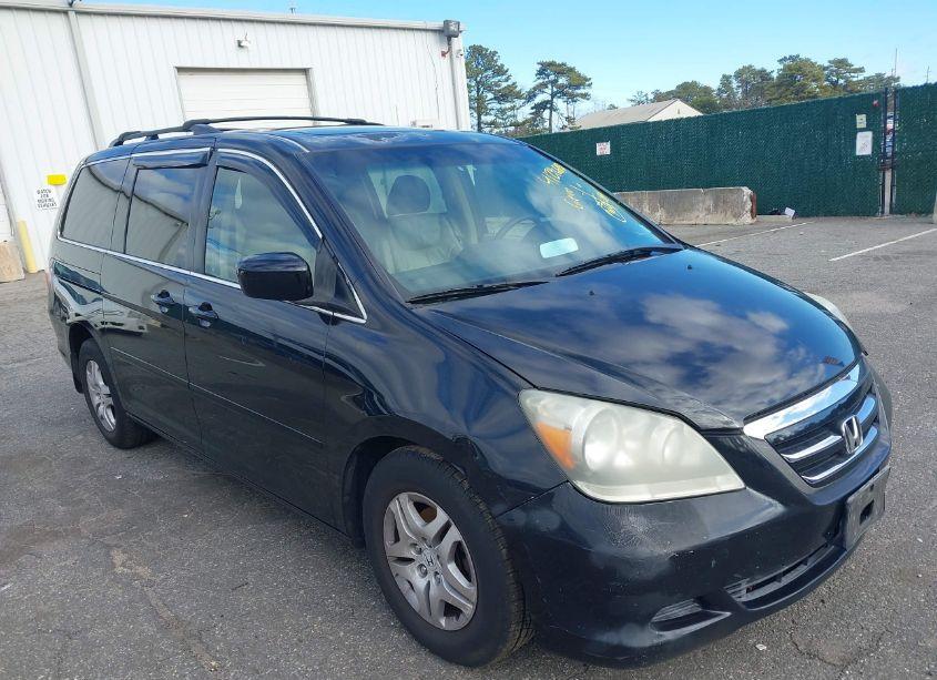 2007 Honda Odyssey EX-L (VIN 5FNRL38737B088605) main photo