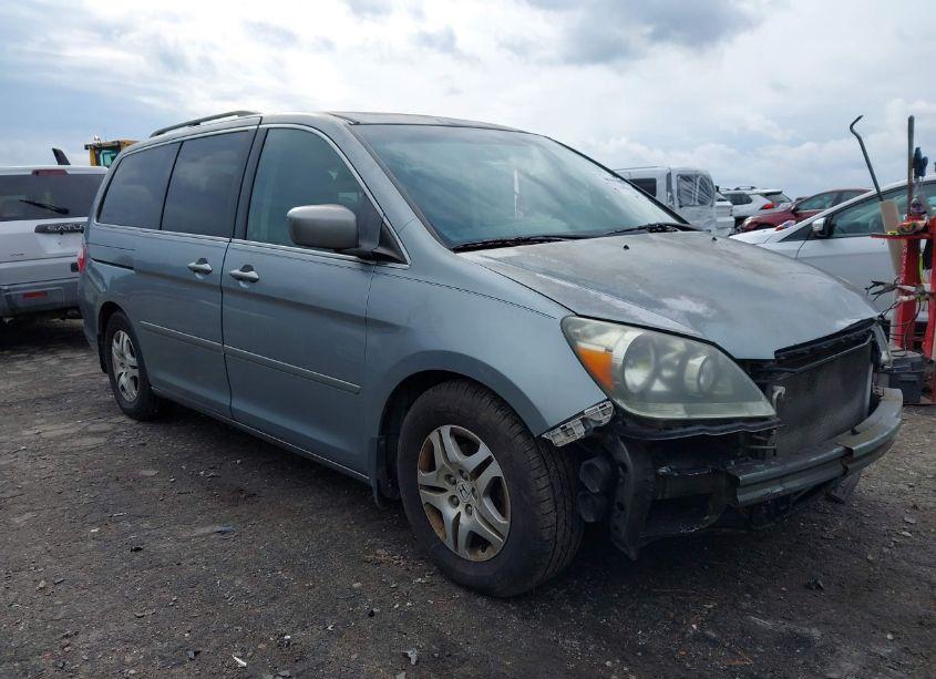 2007 Honda Odyssey EX-L (VIN 5FNRL38737B088667) main photo