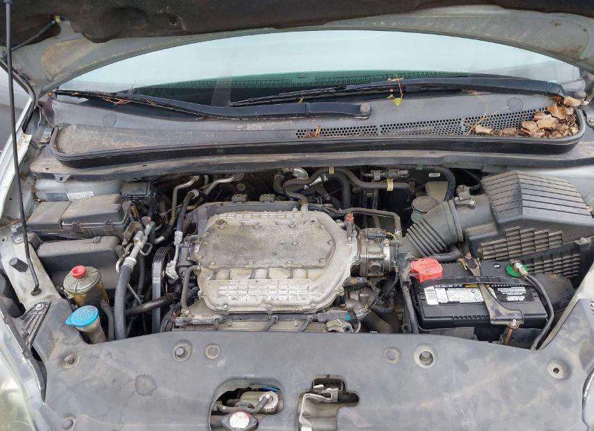 Photo 10 of 2007 Honda Odyssey EX-L (VIN 5FNRL38737B088667)