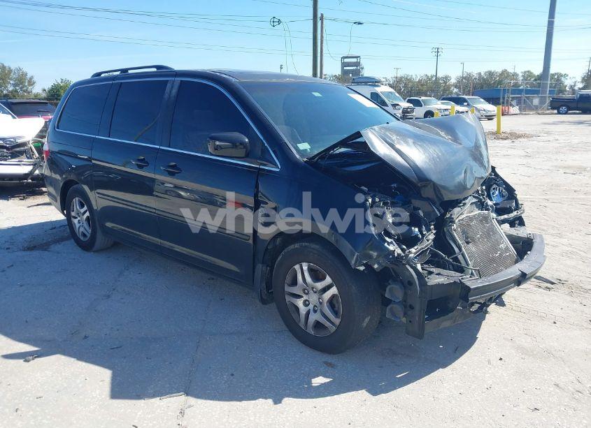 2007 Honda Odyssey EX-L (VIN 5FNRL38737B102101) main photo