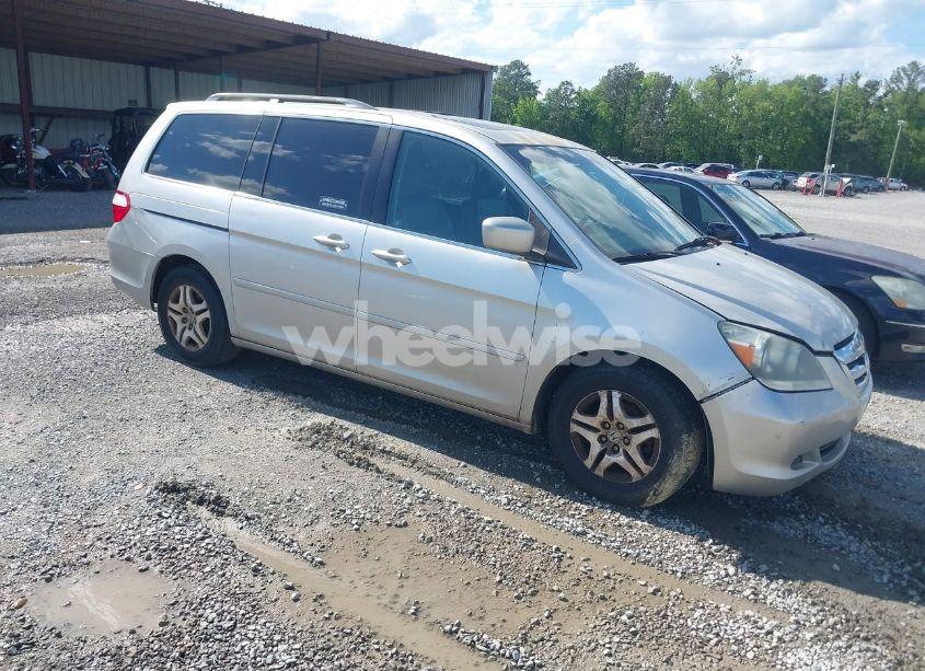 2007 Honda Odyssey EX-L (VIN 5FNRL38737B124681) main photo