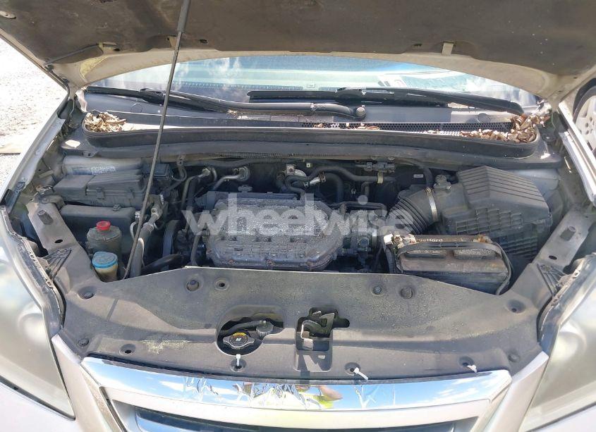 Photo 10 of 2007 Honda Odyssey EX-L (VIN 5FNRL38737B124681)