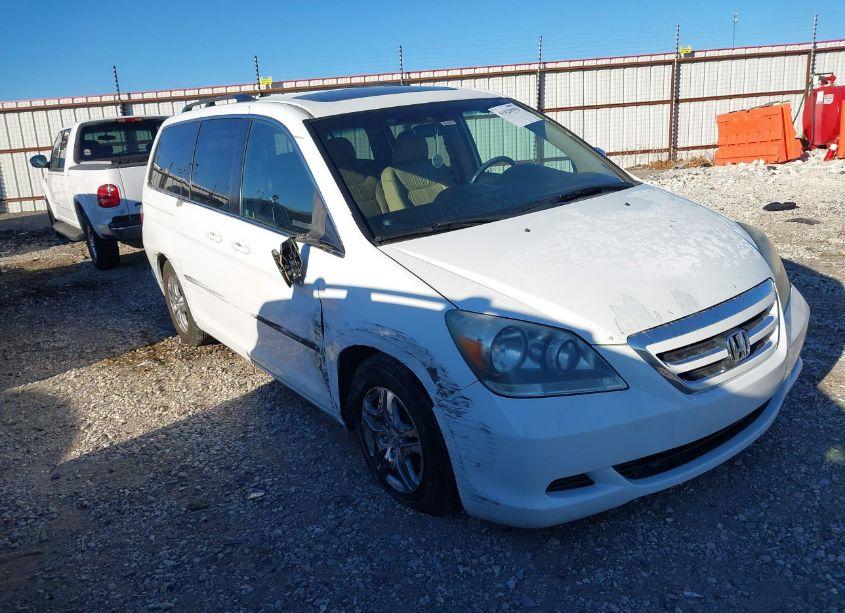 2007 Honda Odyssey EX-L (VIN 5FNRL38737B417934) main photo