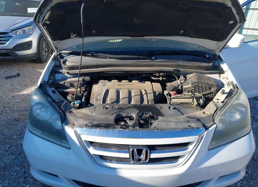 Photo 10 of 2007 Honda Odyssey EX-L (VIN 5FNRL38737B417934)