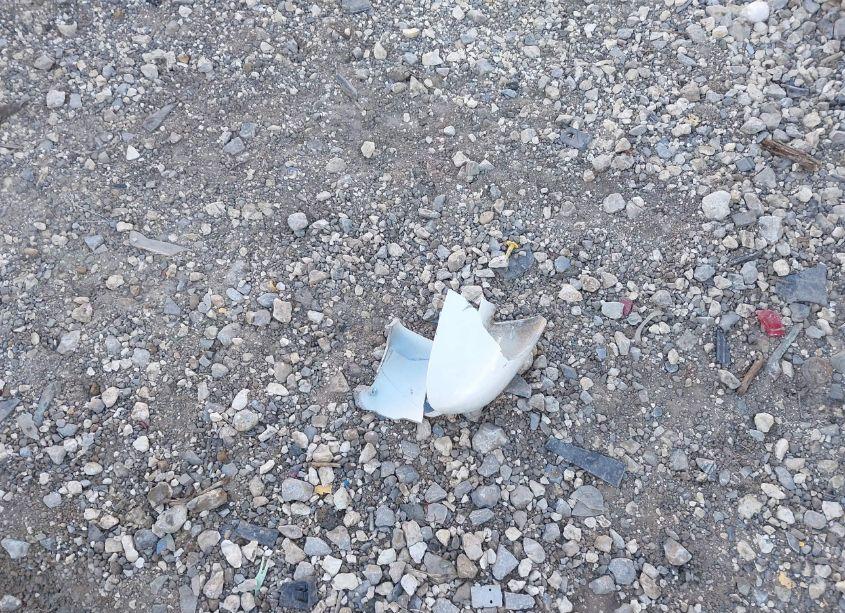 Photo 12 of 2007 Honda Odyssey EX-L (VIN 5FNRL38737B417934)